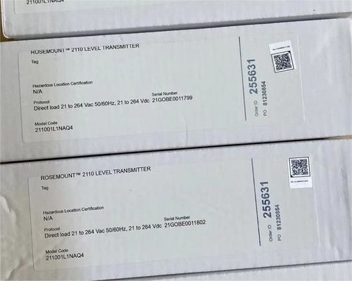211001L1NAQ4 Rosemount 2110 Wyłącznik poziomu widelca wibrującego