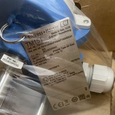 E+H TM151-1F8A2158 Industrial Thermometer